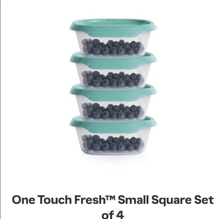 one touch fresh small mini containers set of 4