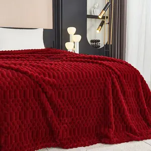 Premium Flannel Cozy Throw Blanket for Sofa and Bed, Super Soft Warm Lightweight, All Seasons Use, Indoor Outdoor Travel Camping Gift