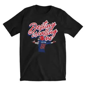 Eager Eyes Destiny Is Calling Me Mr. Brightside Shirt