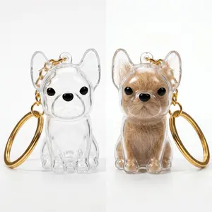 Pet Hair Storage Keychain Commemorative Box — Transparent Cute Dog Hair Keepsake, Portable Pet Memory Capsule, Perfect Gift for Dog Lovers