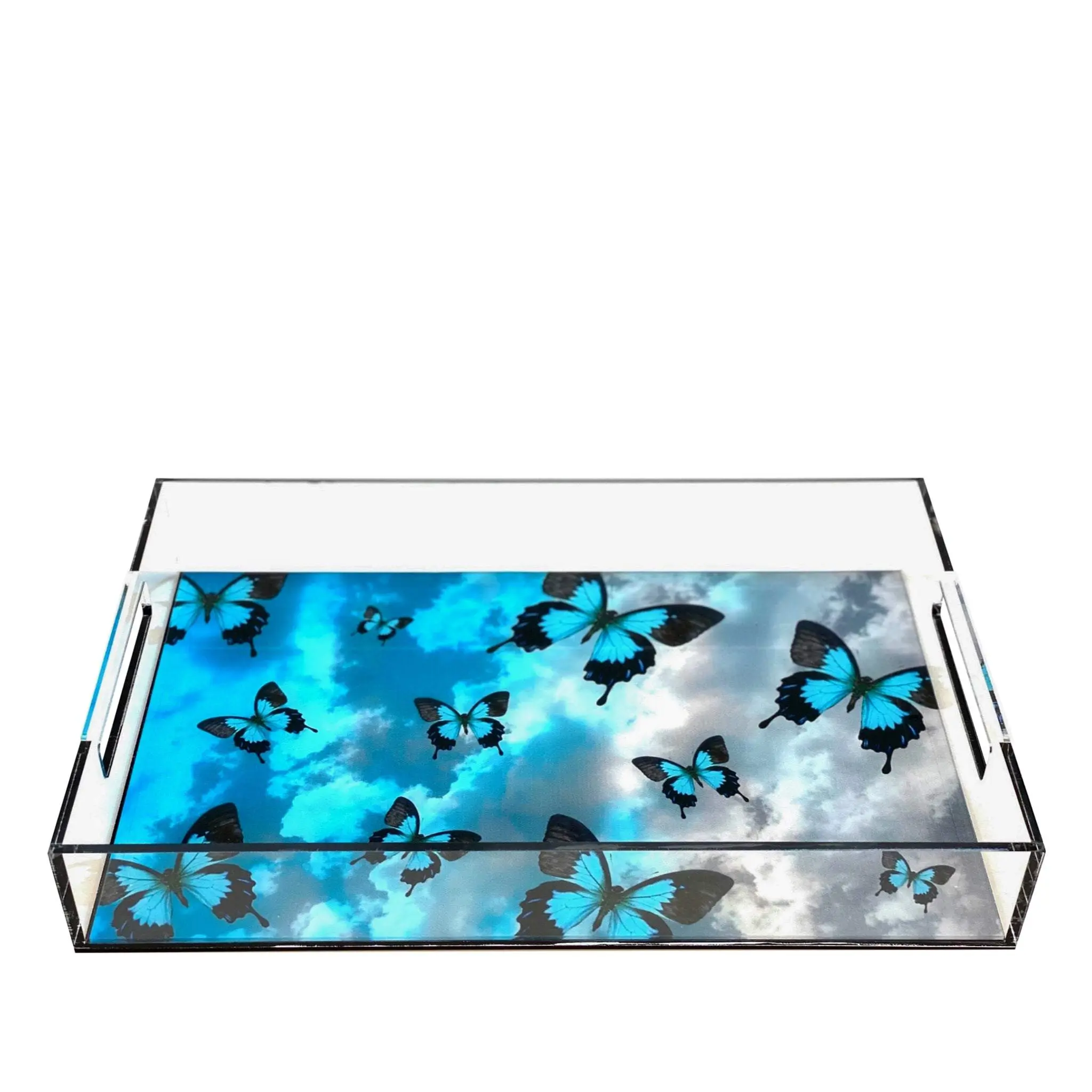 Acrylic Butterflies Tray