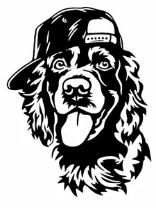Truck Decals