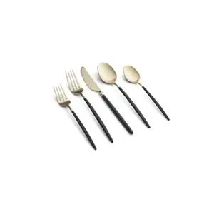 20pc Gaze Black Champagne Satin Flatware Set - Cambridge Silversmiths