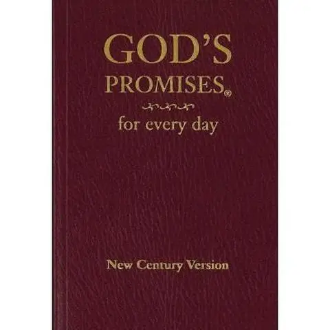 Used God's Promises for Every Day - Jack Countryman (1996 Softcover, Thomas Nelson Religious Guidance Book, 352 Pages, Biblical Direction, Verses for Every Season, Word of Encouragement, 0.53lb, Very Good Condition, English/Spanish)