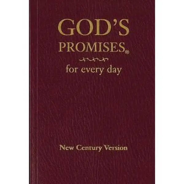 Used God's Promises for Every Day - Jack Countryman (1996 Softcover, Thomas Nelson Religious Guidance Book, 352 Pages, Biblical Direction, Verses for Every Season, Word of Encouragement, 0.53lb, Very Good Condition, English/Spanish)
