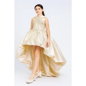 Belle Lumière Dress