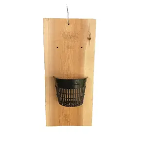 Handmade indoor/outdoor Orchid mount kit on a cedar shingle with a 5-inch mesh pot.