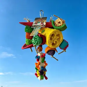 Colorful Hanging Parrot Chewing & Interactive Cage Toy
