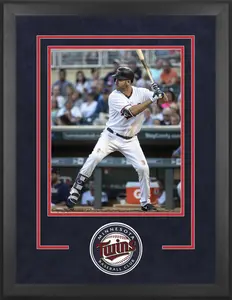 Minnesota Twins Deluxe 16" x 20" Vertical Photograph Frame