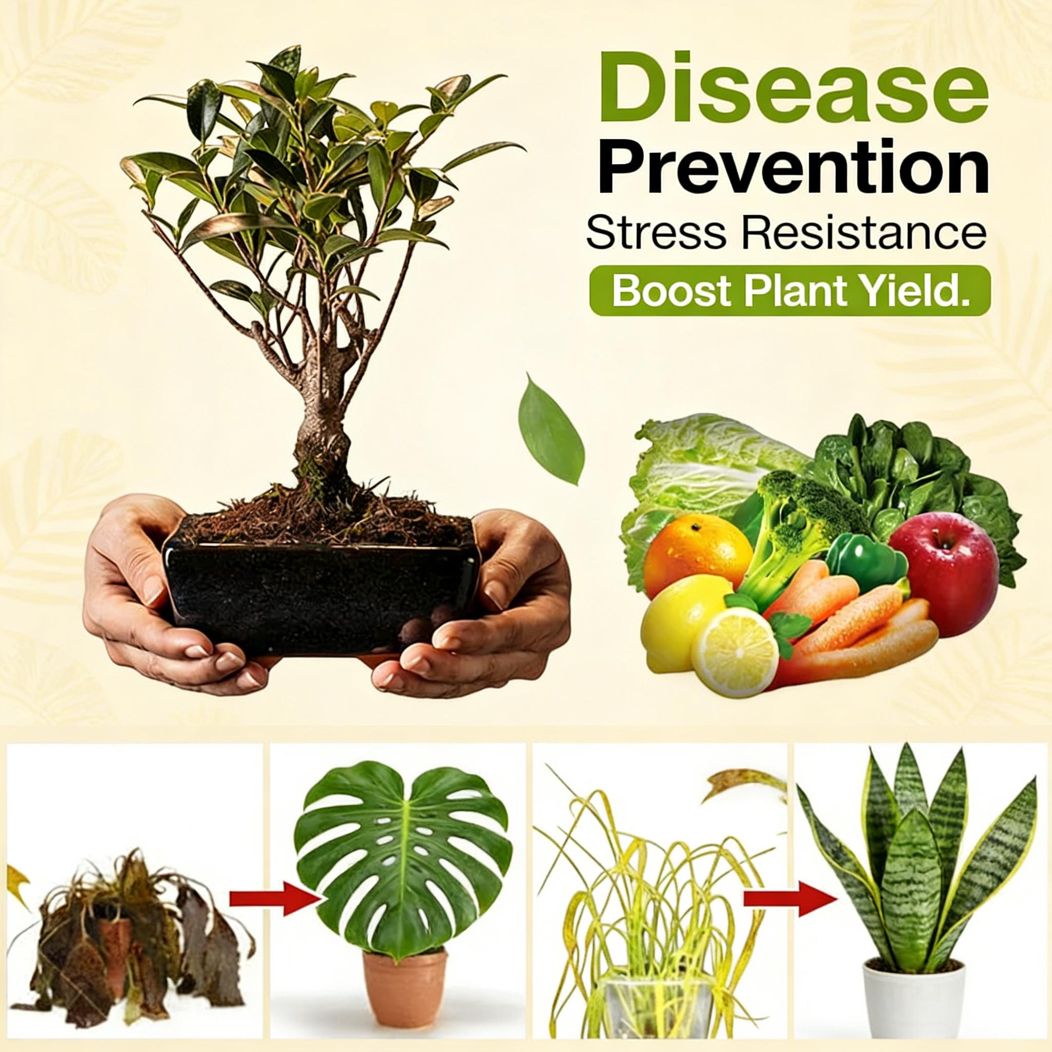 Yegbong soil activator, horticultural nutrient soil, mineral source, loose soil, prevention of compaction, promotion of rooting, flower fertilizer