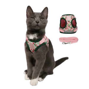 Strawberry Shortcake x Travel Cat Harness & Leash Set - Officially Licensed