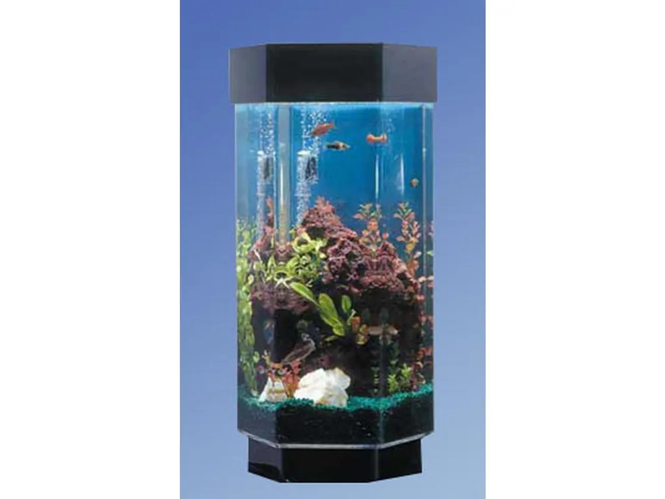 15.5 in. Hexagon Aqua Scape