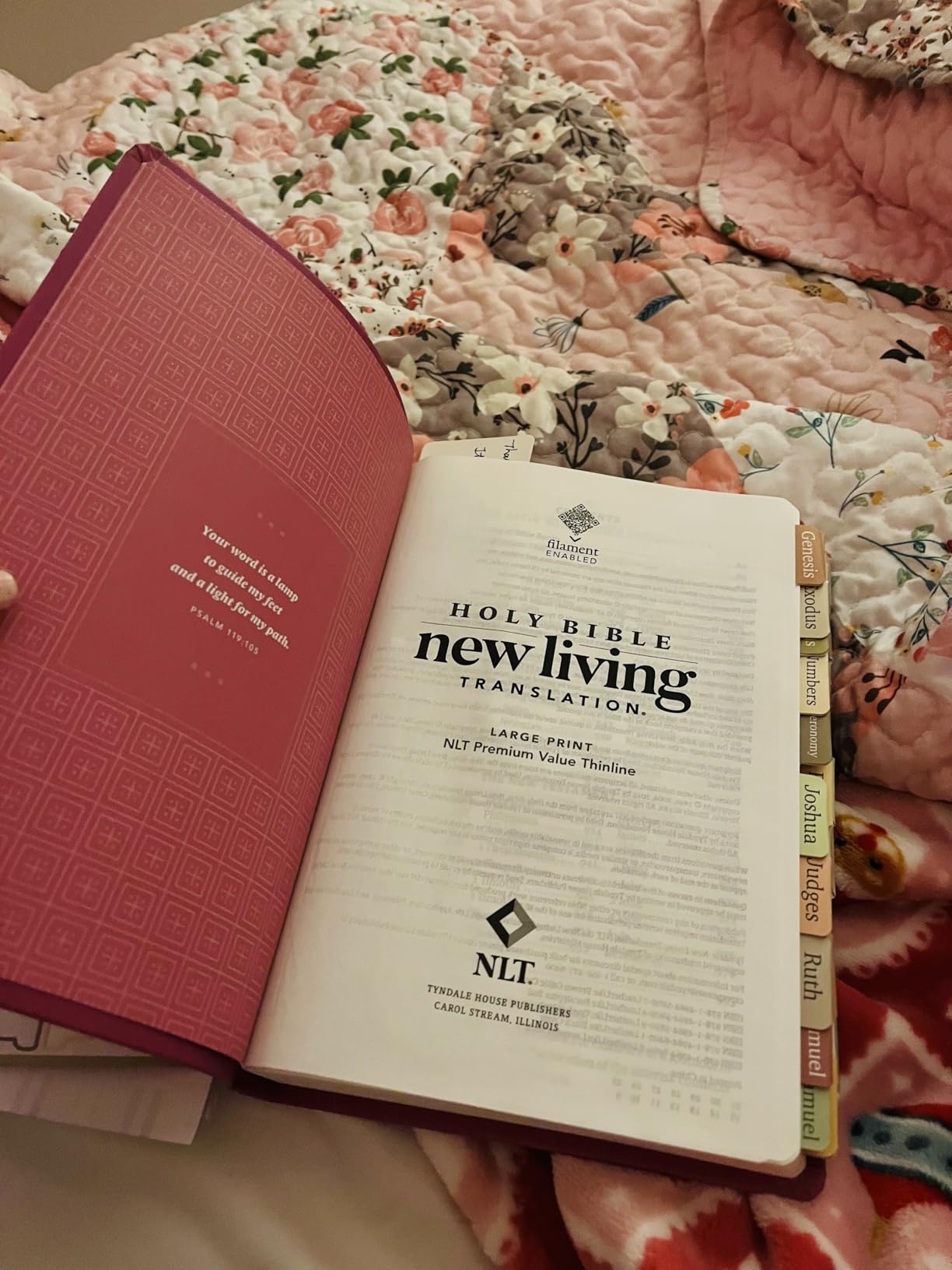 NLT Large Print Premium Value Thinline Bible, Filament Enabled (LeatherLike, Garden Pink)