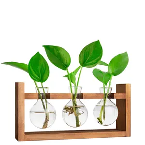 Two Styles Wooden Plant Holder without Plant, 1 Count Creative Glass Vase with Wooden Stand,Desktop Plant Holder, Modern Plant Pot for Home Office Desktop Decoration，Ideal Gift For Her