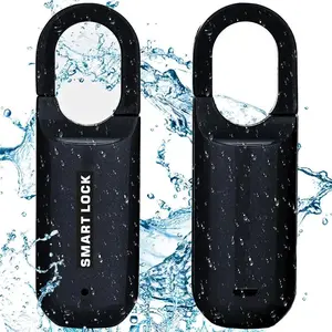 Dabsfavshop Fingerprint Padlock for Lockers - Smart Lock