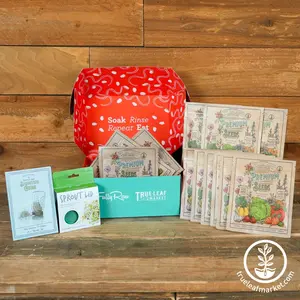 Sprouting Kit - Fully Raw's 12 Best Sprouts