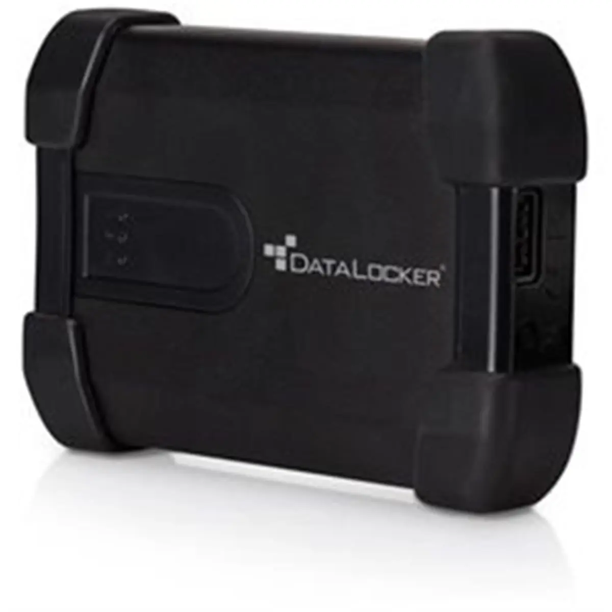 212 MAIN DataLocker Basic H350 2.5-inch USB 3.0 External Hard Drive, 1TB Capacity Data Storage Device