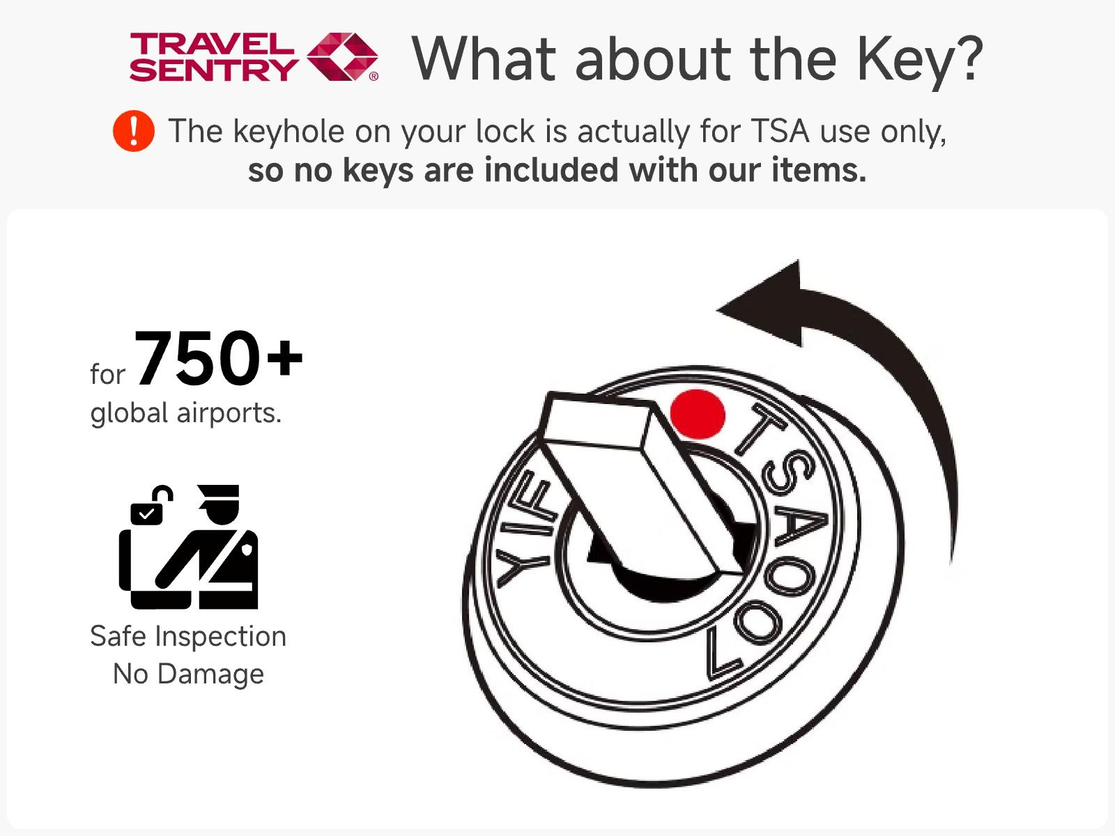 LUGGEX 20 Inch Carry On Luggage Airline Approved, PC Expandable Hard Shell Suitcases with Spinner Wheels,  White Brown