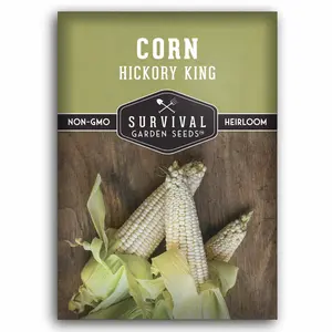 Hickory King Corn Seed - White Field Corn