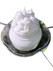 Cucumber Melon Infused Body Butter for Radiant Skin by L'homme Beauty and Skin Care Line LLC - Perfect for Eczema and Skin Sensitivities Body Care Coconut Lotions Sunflower Cocoa Olive Blend Exfoliant Organic Vitamins Comfort Skin Repair Cosmetic