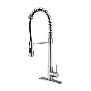 Brushed Nickel Single Handle Commercial Modern Spring High Arc Kitchen Faucet Water Filter System Bends as You Want