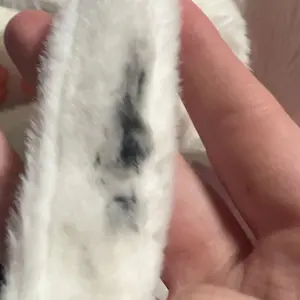 Product Review of 【TikTokShopBacktoSchool】Chongker Stylish Daypack Plush Cat Backpack - Realistic Stuffed Animal Fashion Accessory & Unique Gift for Cat Lovers - 1 Set Gift Wrap from C**e