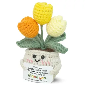 OASSIE Thank You Gifts for Women - Mini Tulip Positive Emotional Support Crochet - Graduation End of Year Teacher Appreciation Gifts for Teachers Nurse Coworker Friend, Retirement Gift for Woman