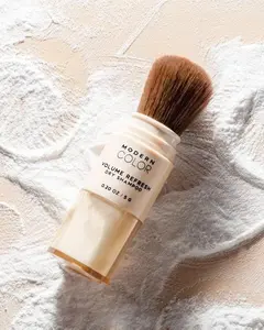 Volume Refresh Dry Shampoo Powder Brush