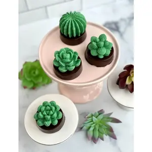 Succulent Cactus Chocolate Covered Oreos (Set of 12)