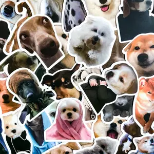 Instant Serotonin 5 Random Cute Dog & Cat Meme Stickers