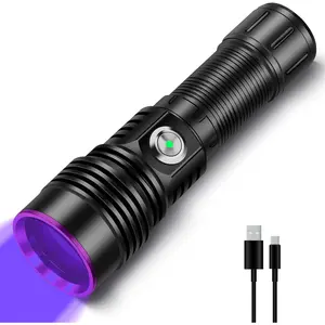 UV Flashlight Rechargeable, 365nm Blacklight Flashlights Powerful, Black Light for Pet Urine Detection, Scorpions, Resin Curing, Rocks, Blood Tracking, Uranium Glass