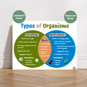 Types of Organisms Anchor Chart | Laminated Science Classroom Posters | Science Classroom Decor | Unicellular Multicellular Venn Diagram