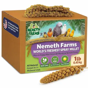 Nemeth Farms Spray Millet - Edible Tops Only, Non-GMO, Sun-Dried Natural Treat - Premium Millet Sprays for Parakeets, Budgies, Cockatiels, Lovebirds, Finches & Parrots