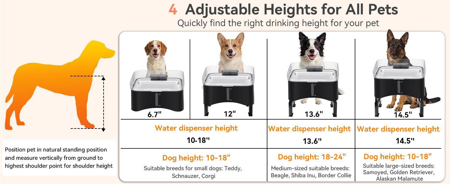 UPSKY 11L Elevated No-Spill Dog Water Fountain, 4 Heights Adjustable, 304 Stainless Steel Tray with Anti-Clog Pump & 4 Filters for Senior Dogs, All Dog Sizes & Multi-Pet Home,Black UPSKY 11L Elevated No-Spill Dog Water Fountain, 4 Heights Adjustable, 304 Stainless Steel Tray with Anti-Clog Pump & 4 Filters for Senior Dogs, All Dog Sizes & Multi-Pet Home,Black