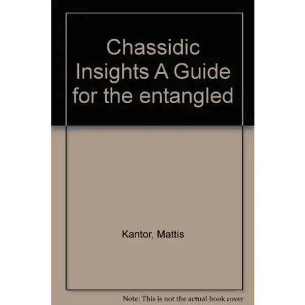 USED-Chassidic Insights A Guide for the entangled by Máttis Kantor (Paperback)