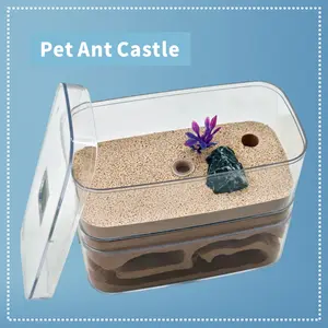 Comfortable Viewing, Expanding Design for a More Vivid Ant Life, Ideal for Home Pet Ants, Family Pet Ant Habitat, Ant Artwork, See-through Board, Ant Decor