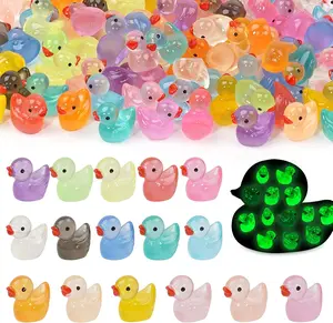 160 PCS Mini Resin Ducks to Hide Tiny Ducks Luminous Glow in the Dark, Little Plastic Duck, Small Resin Animals