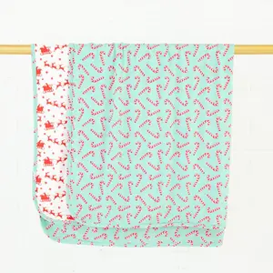 Candy Cane Lane Reversible Blanket - Mint