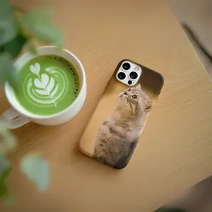 Generic Phone Case with Cat Design for iPhone Models - Slim, Protective, Scratch-Resistant, Compatible with Various Models