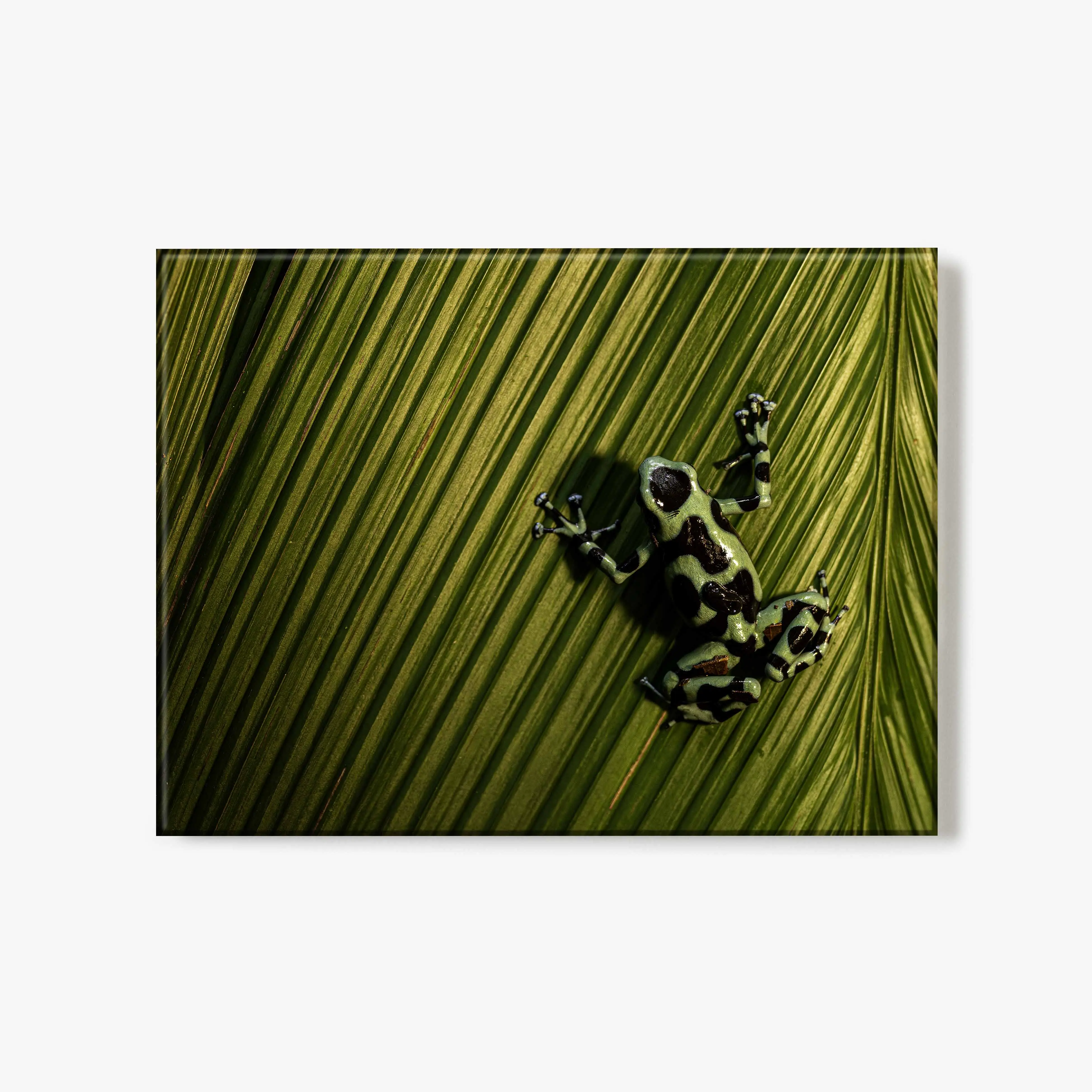 Jungle Jewel - Glass Print