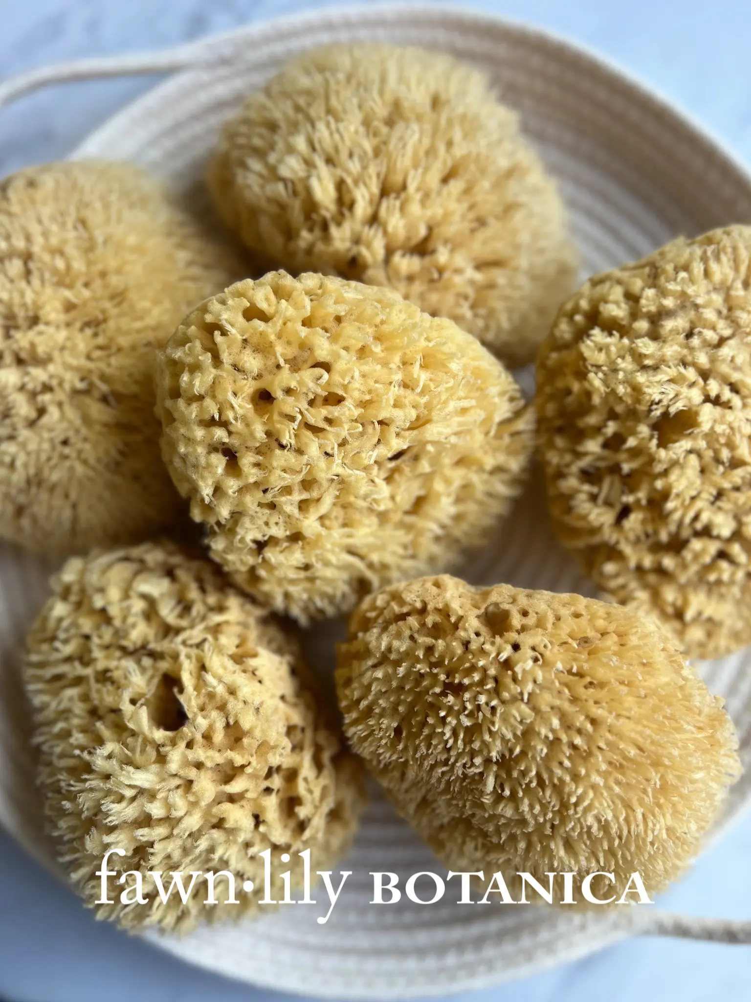 PREMIUM "DEEP SEA" WOOL BATH SEA SPONGES, NATURAL + SUSTAINABLE