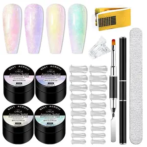 Non-Stick Hand Solid Extension Nail Gel Set, 9pcs Aurora Solid Builder Gel for Nail Extension Solid Extension Gel 3D Nail Gel Art Nail Strengthen UV LED Nail Art for Home Nail Salon, Polygel Nail Kit
