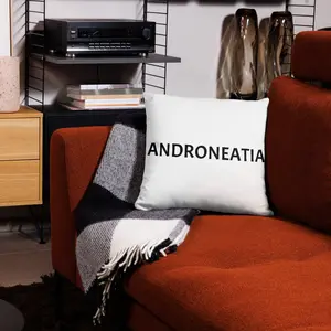 Androneatian Pillow