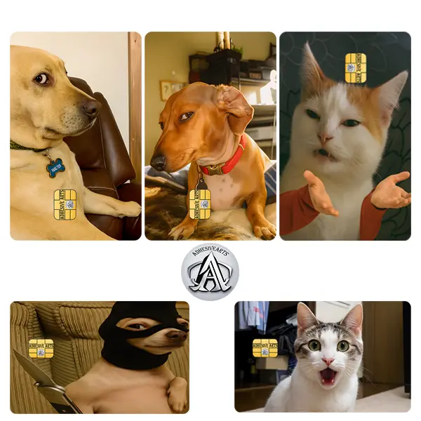 Funny Pets Debit Card Skins/Decals - High Quality Vinyl for Customization and Personalization