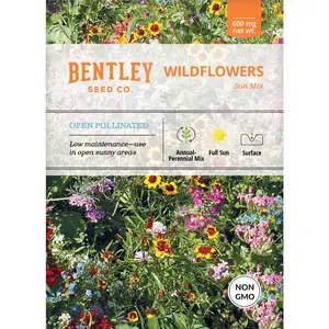 Wildflower, Sunny Wildflower Mix Seed Packets