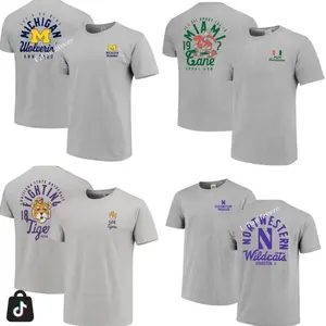 [Sale off 50%] Custom University Graphic Mascot Overlay All Team 2 Side Grey COLOR T-shirt, Vintage Graphic Tee, Sport Fan Gift Shirt, Men's Oversized Athletic T-shirt, College Shirt, Men's Regular Fit Graphic T-shirt, Football Tee NY9