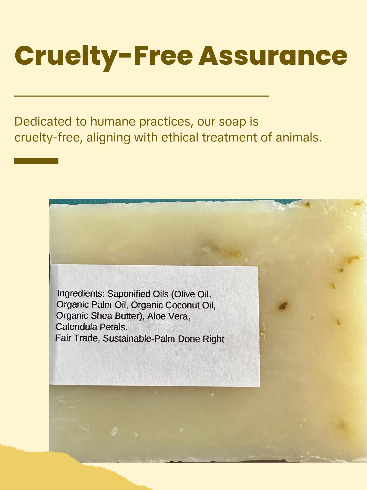 Organic Aloe Calendula Bar Soap: (Unscented, All-Natural, Vegan, Aloe-Infused) Cleanser, Facial Cleansing, Facial Wash ,Gentle Skincare ,Body Care, Soothing Sensitive Coconut Nourishing