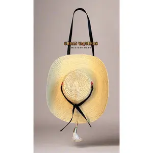 Sombrero Calentano Tiera Caliente de Carro-Mexican Hat for your Automobile