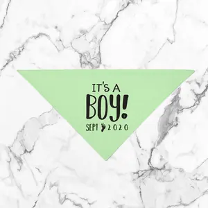 Personalized It's a Girl! It's a Boy! Gender Reveal Pregnancy Announcement Bandana