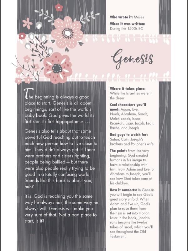 NIV, Ultimate Bible for Girls, Faithgirlz Edition, Hardcover Hardcover